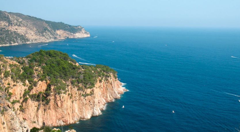 Photo of S'Olivera Nº1