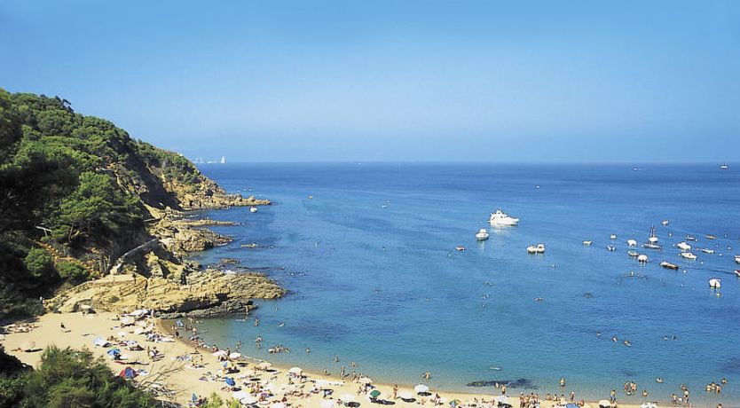 Photo of S'Olivera Nº1