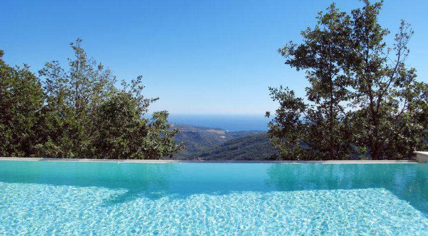 Photo of Azzurra (PTB145)