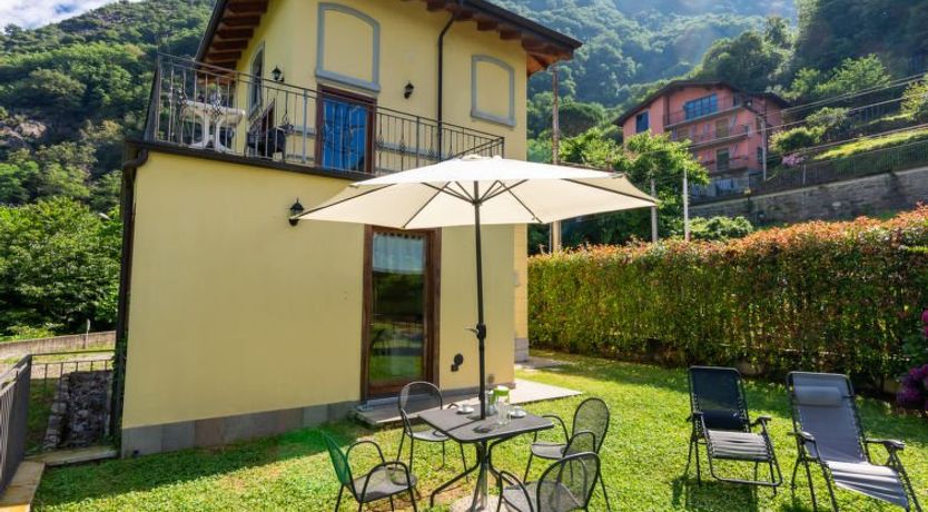 Photo of Vince (DOX200)