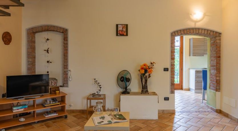 Photo of Vince (DOX200)