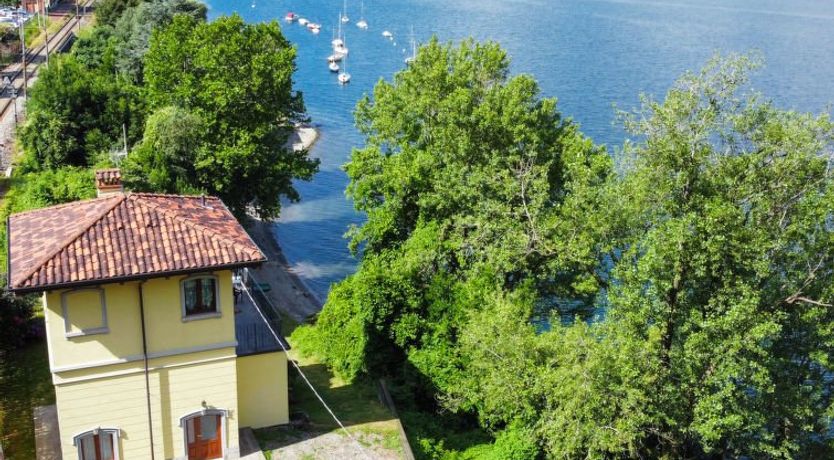 Photo of Vince (DOX200)