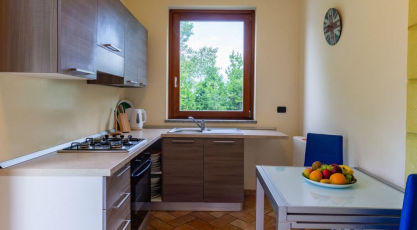 Photo of Vince (DOX200)