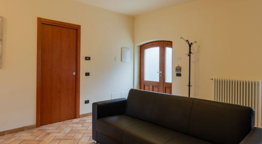 Photo of Vince (DOX200)