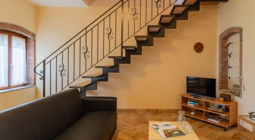 Photo of Vince (DOX200)