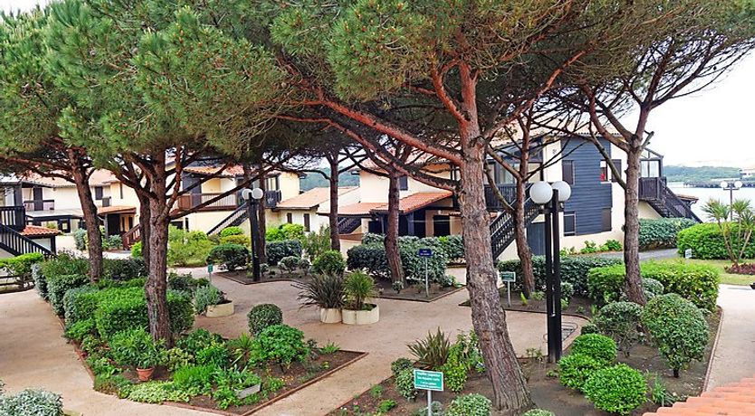 Photo of Albret Apartment 2