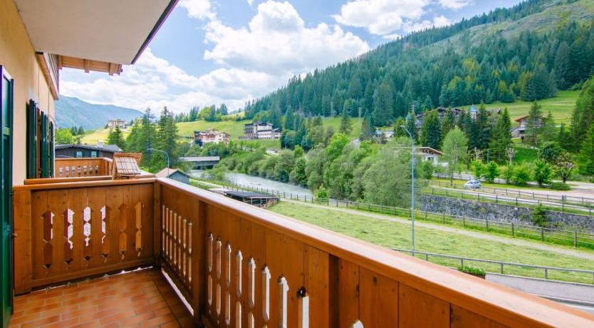 Photo of Pederiva (SOF740)