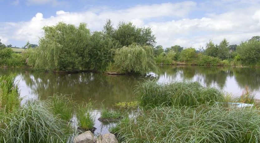 Photo of The Coach House