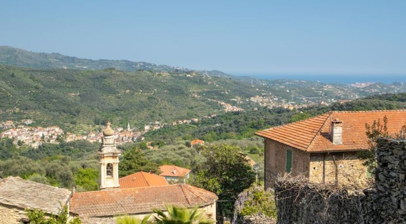 Photo of Annina (DOL285)