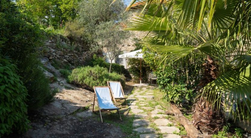 Photo of Annina (DOL285)