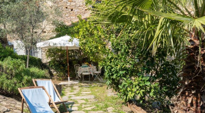 Photo of Annina (DOL285)