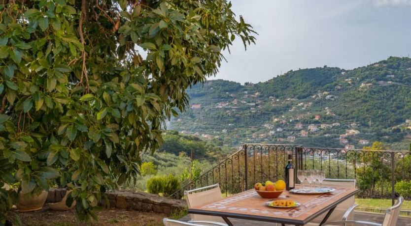 Photo of Coty (IMP522)