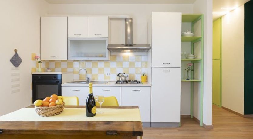 Photo of Coty (IMP522)