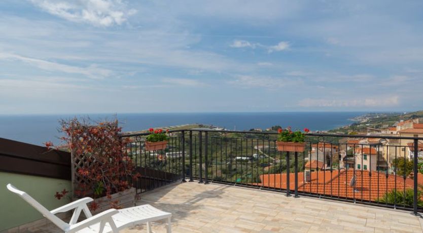 Photo of Toni (TZR240)