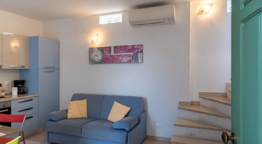 Photo of Toni (TZR240)