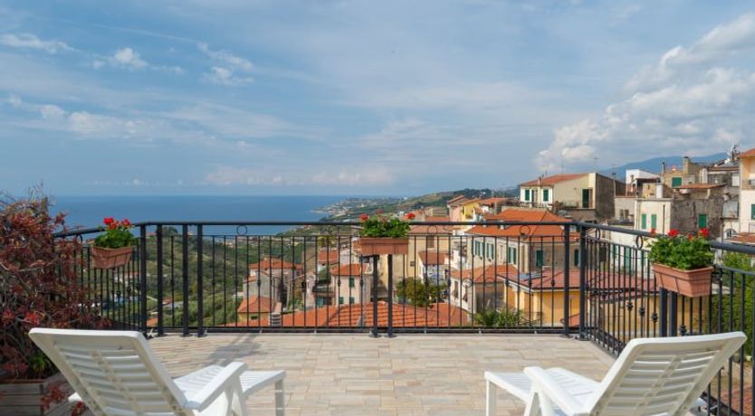 Photo of Toni (TZR240)