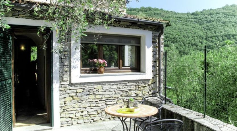 Photo of Asplanato (DOL160)