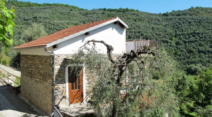 Photo of Asplanato (DOL160)