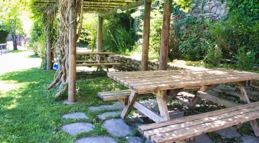 Photo of Asplanato (DOL160)