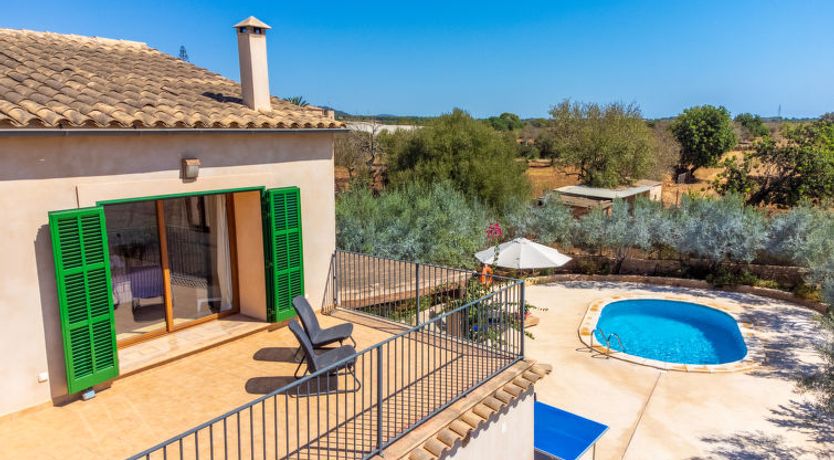 Photo of Can Marines des cami des carro