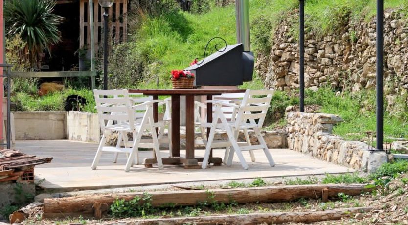 Photo of Oasi Colorata