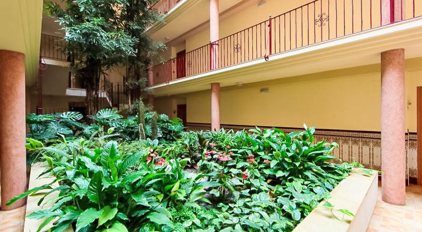 Photo of Playa Delicias Apartment 8