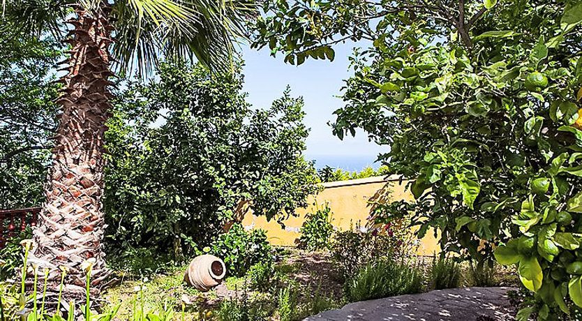 Photo of Camino La Candelaria