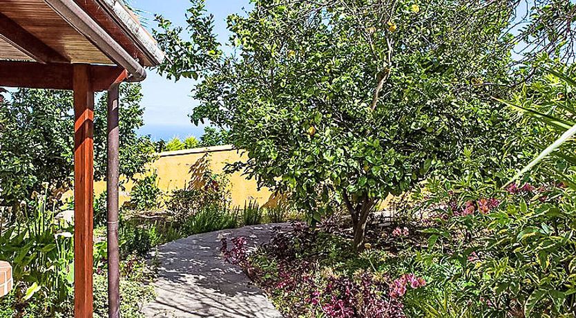 Photo of Camino La Candelaria