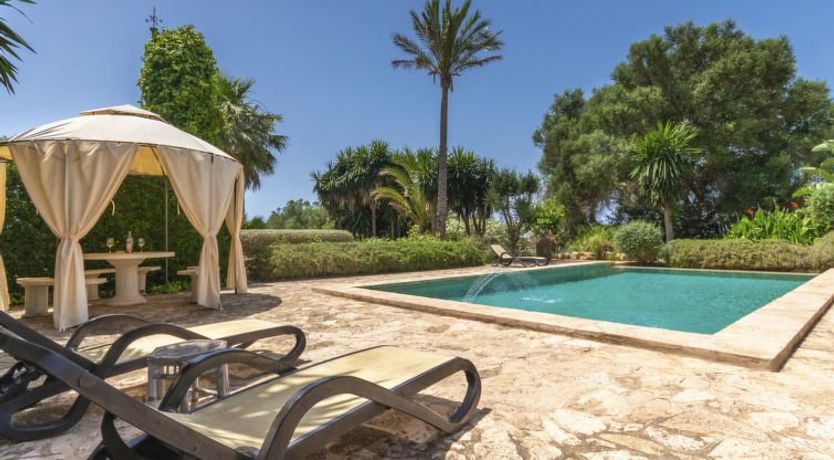 Photo of Moli de Son Vidal