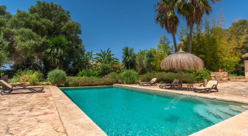 Photo of Moli de Son Vidal