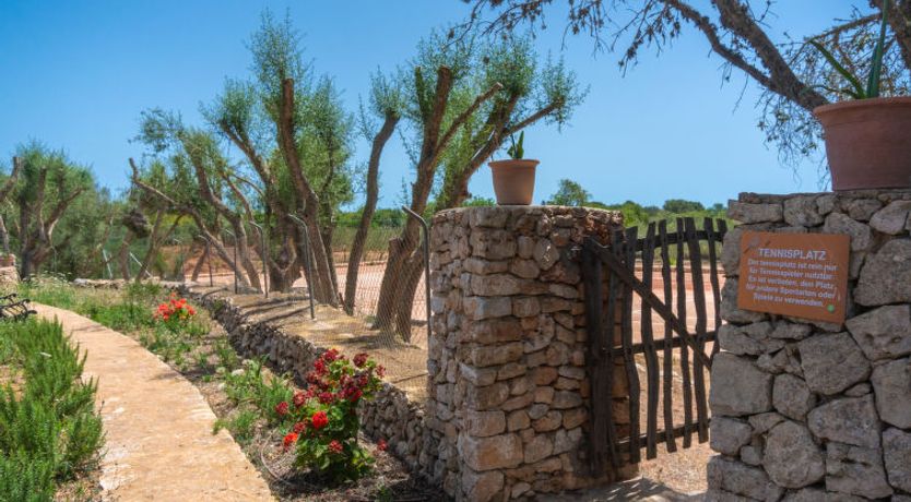 Photo of Moli de Son Vidal