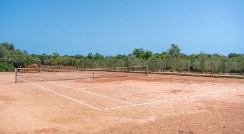 Photo of Moli de Son Vidal