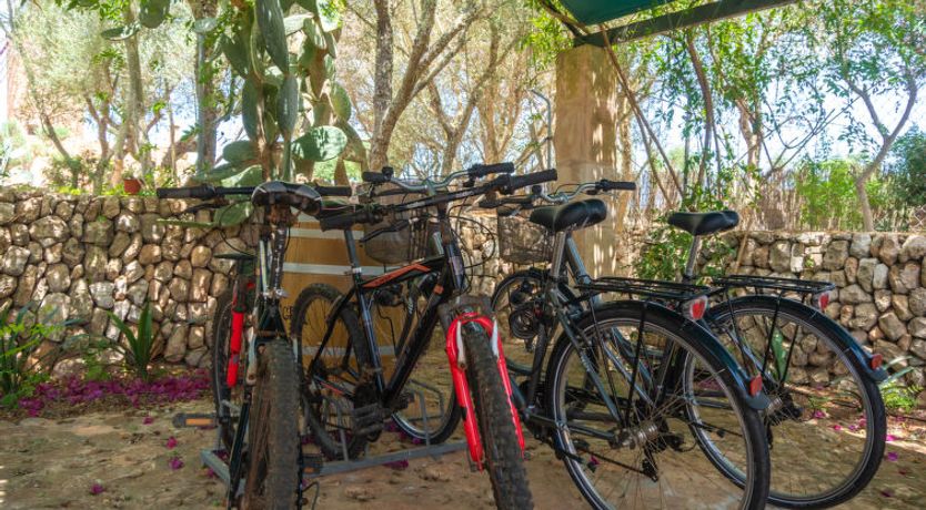 Photo of Moli de Son Vidal