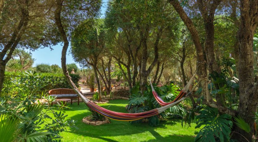 Photo of Moli de Son Vidal