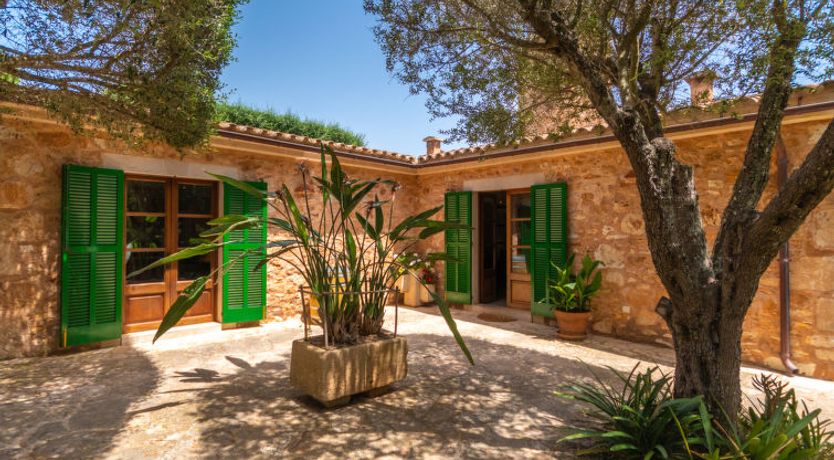 Photo of Moli de Son Vidal