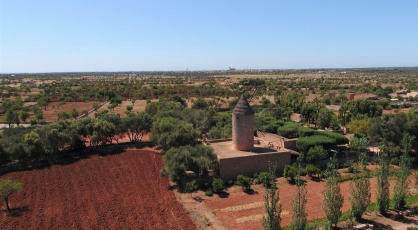 Photo of Moli de Son Vidal