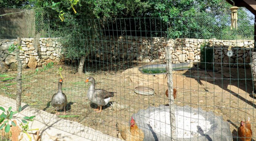 Photo of Moli de Son Vidal