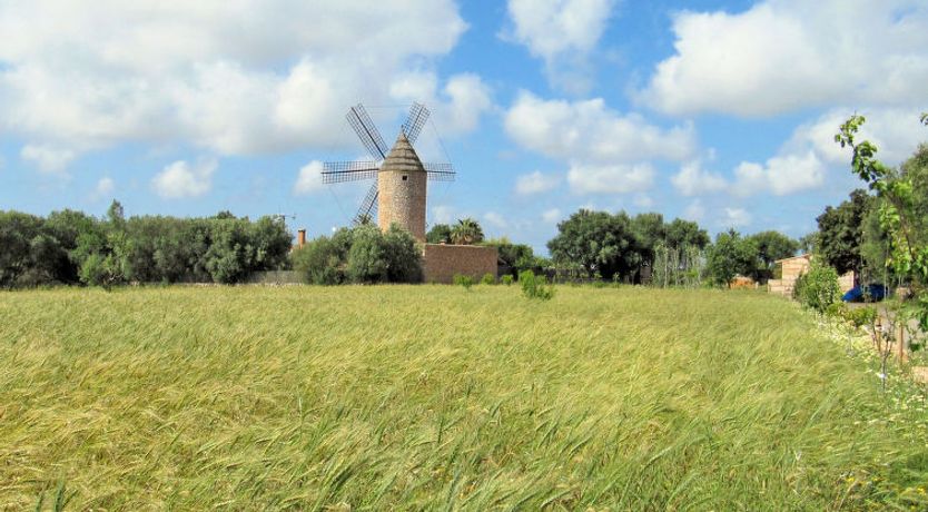 Photo of Moli de Son Vidal