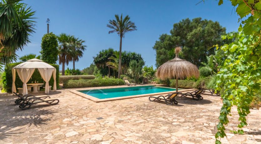 Photo of Moli de Son Vidal