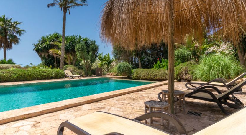 Photo of Moli de Son Vidal