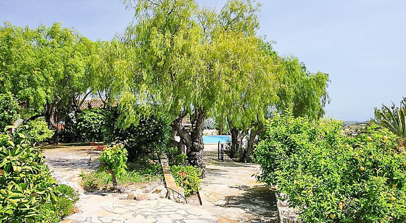 Photo of Baile del Sol