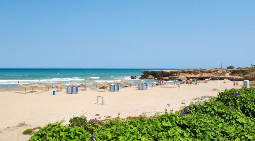 Photo of El Palmar Playa Romana