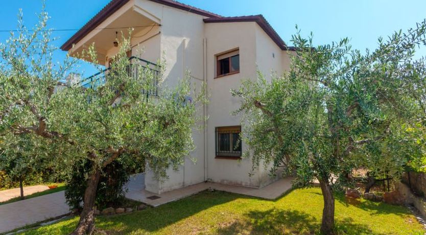 Photo of Tres Olivos