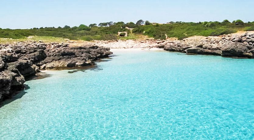 Photo of Fonoll Mari