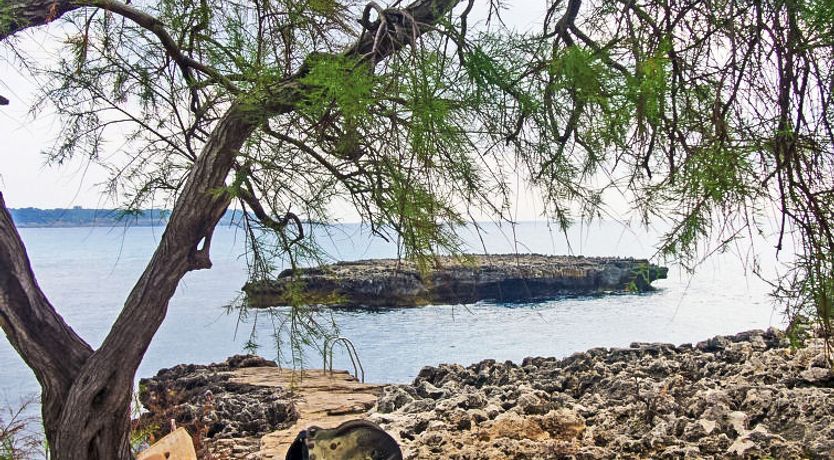 Photo of Fonoll Mari