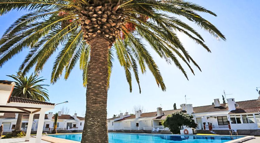 Photo of Salvagina 53