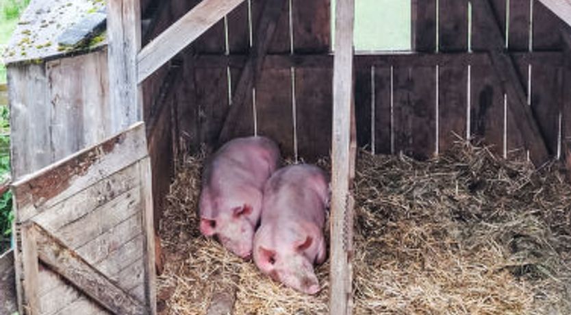 Photo of Unterpirchhof