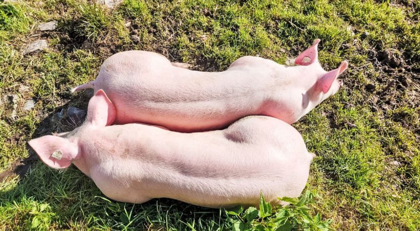 Photo of Unterpirchhof