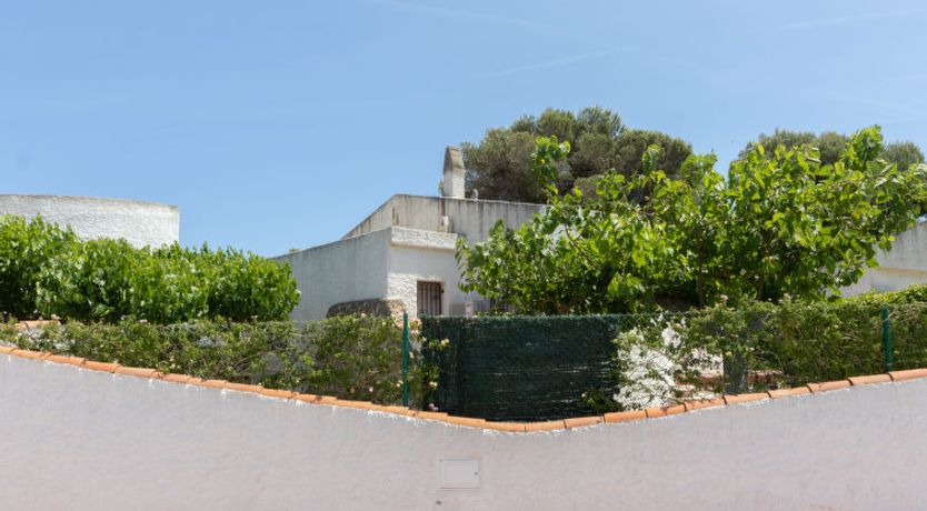 Photo of Ibicenca