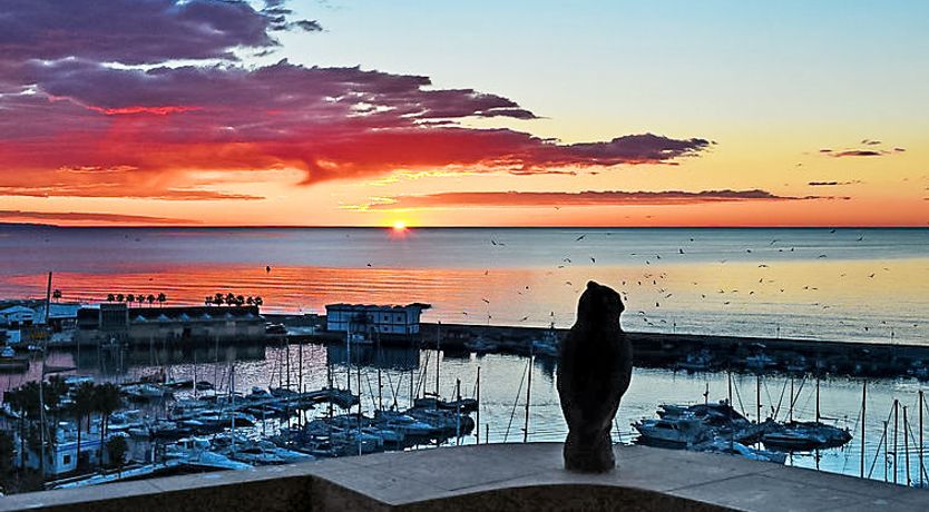 Photo of Puerto Paraíso